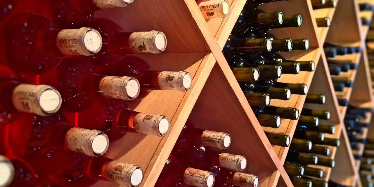 Modern wine cellar tasting room remodel ideas in campbell ca storage refrigeration more